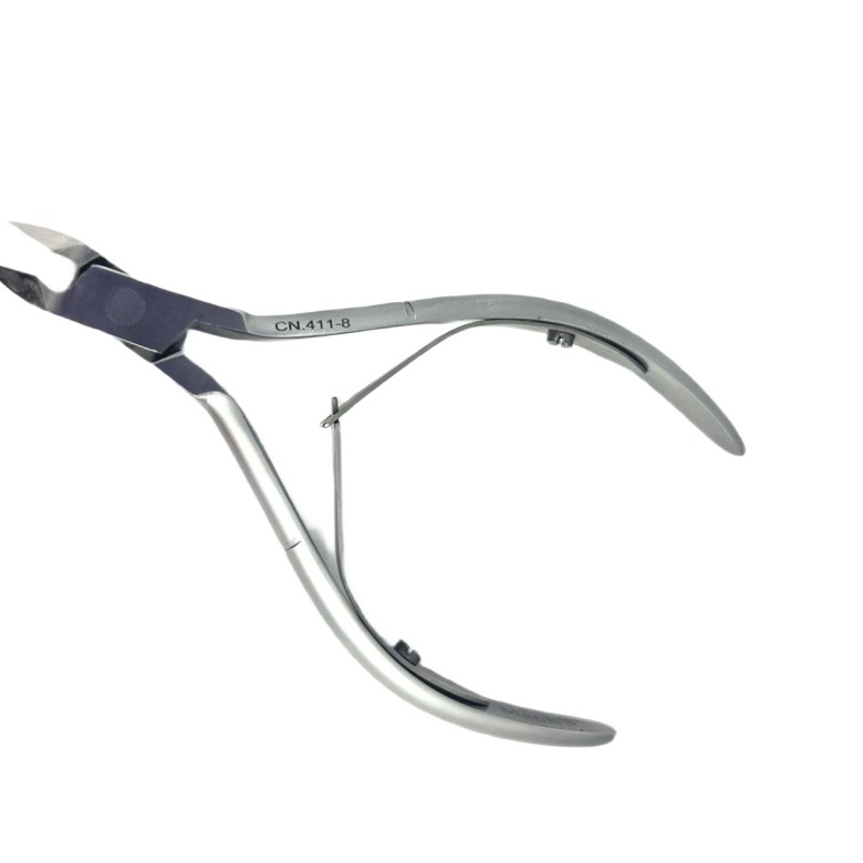 Cleste cuticula CN.411-8