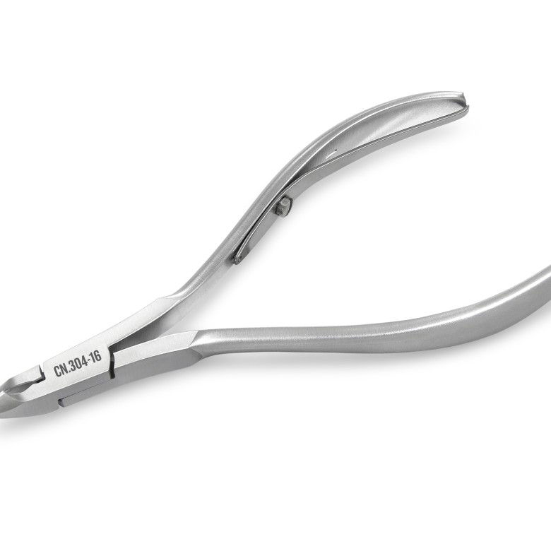 Cleste cuticula CN.304-16