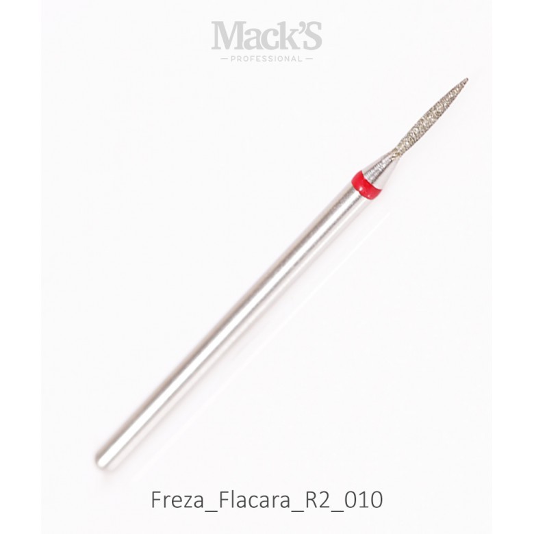 Bit Diamant Flacara R2/010